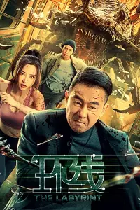 Vòng Lặp / Tuyến Đường Vòng