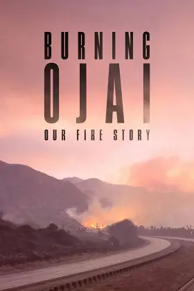 Đám Cháy Ở Thung Lũng Ojai